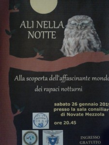 ali nella notte