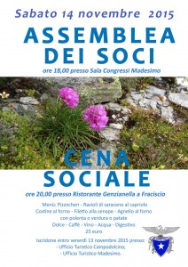 assemblea cena 2015